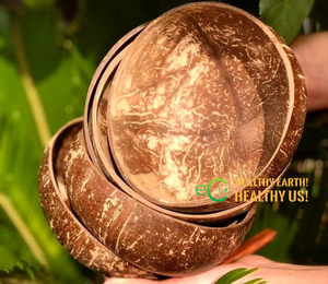 Bol en coquille de noix de coco vietnamienne/Bol et cuillère en noix de coco naturelle écologique avec logo et design personnalisés de Eco2go Vietnam - Product Image 2