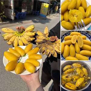 Fournisseur naturel de banane Sève congelée Vietnam - Product Image 4