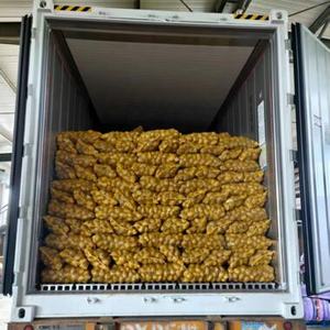 Pommes de terre fraîches de qualité supérieure, cultivées en ferme, pour la cuisine, la restauration et la vente en gros - Product Image 1