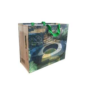 Bolsas de comestibles de lona tejidas PP con logotipo personalizado hecho en Vietnam, superventas, bolsas de compras al por mayor para vacaciones - Product Image 2