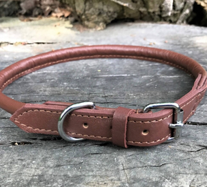 Collier de chien en cuir vert de haute qualité pour lévrier et Whippet - Product Image 1