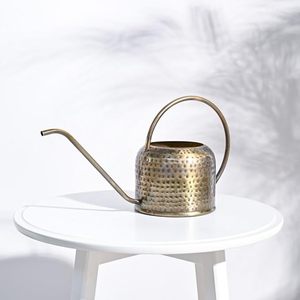 Arrosoir doré brillant, un essentiel de jardin, arrosoir doré luxueux pour des fleurs éclatantes - Product Image 1