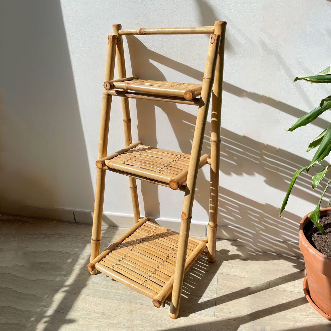 ธรรมชาติ