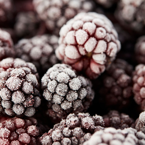 Vdelta ผลไม้เขตร้อนแช่แข็ง | เวียดนามมะม่วงธรรมชาติทุเรียน - Product Image 2