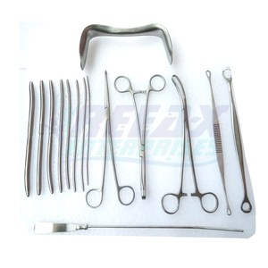 REEAX Enterprises Conjunto de fisiología de alta calidad para cirugía y ginecología Kit de instrumentos quirúrgicos integrales - Product Image 1