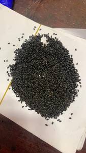 Proveedor de semillas de albahaca de alta calidad de Vietnam/Especias de Vietnam - Product Image 4