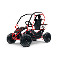 Go Kart Eléctrico de 24v, 1000W, 110CC, con Licencia, para Niños Mayores de 10 Años, 40km/h, Freno Hidráulico, Alta Calidad, Grado A, Nuevo 2019