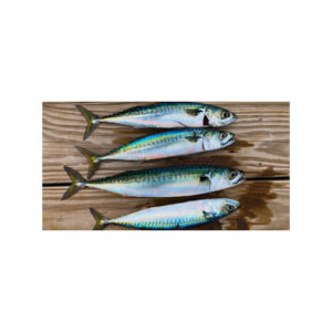 Emballage sous vide de poisson de maquereau congelé entier de qualité supérieure saveur riche en gras et texture ferme polyvalent pour de nombreuses recettes - Product Image 5