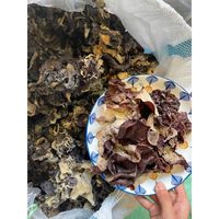 Lucht Gedroogde Zwarte Schimmel Paddestoel Schoon Veilig En Gezond Voedsel Uit Vietnam