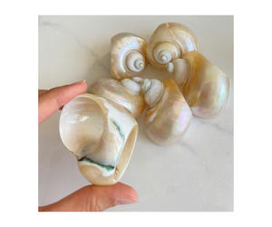 Anillos de Servilleta de Concha Hechos a Mano, Elegantes Accesorios para Mesa de Boda en la Playa - Product Image 2