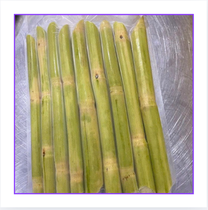 Bâtonnets de canne à sucre tropicaux surgelés authentiques, pelés, naturellement sucrés, de qualité supérieure pour les marchés de gros - Product Image 1