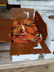 Approvisionnement en gros de crabes royaux rouges vivants surgelés d'origine américaine, 6 kg en carton et sous film plastique, prix de gros - Product Image 1