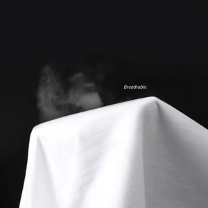 Camiseta blanca básica para mujer 2024 de algodón, camisetas holgadas de manga corta de verano 100% para niñas y mujeres, camisetas informales para hombres - Product Image 6