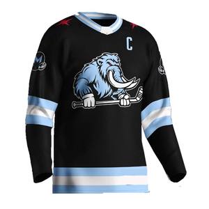 BETHERIVAL Sweat à capuche de hockey brodé sur mesure par sublimation Maillot d'uniforme de hockey sur glace Haus Industries - Product Image 3