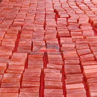 JOBAK Vente en gros de briques de sel de l'Himalaya naturelles sculptées de 5x10x20 cm, certifiées ISO, directement des mines du Pakistan, personnalisables, qualité supérieure