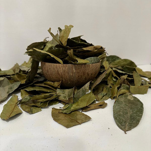 Hoja de Graviola seca, la mejor calidad, el precio más barato, Hojas de Guanábana seca a granel para hacer té saludable - Product Image 4