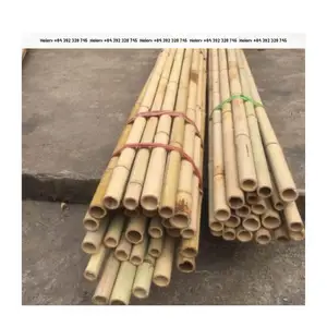 Pali di bambù agricoltura supporta la fabbrica del Vietnam all'ingrosso Bambu prezzo competitivo bastoni tubo Standard