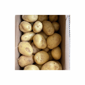 Patata fresca orgánica de calidad superior de GAP para patatas fritas, leña vegetal de China embalada en bolsas KG - Product Image 3