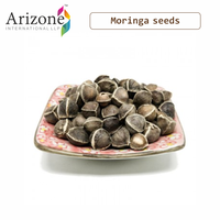 Biji Moringa Oleifera bulat yang dapat diandalkan & kualitas tinggi dari India untuk memberi nutrisi kulit dan rambut bumbu & rempah-rempah tunggal