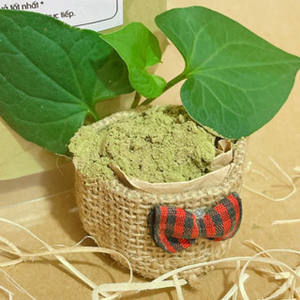 100% POUDRE DE HOUTTUYNIA CORDATA NATURELLE/HERBE DOKUDAMI SÉCHÉE/UTILISATION DÉTOX ET SOIN DE LA PEAU/POUDRE PURE DIEP CA - Product Image 2