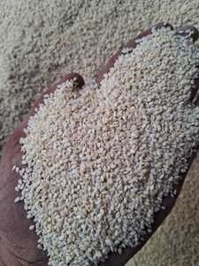 เมล็ดงาขาวสำหรับทำอาหารรสชาติดีตามธรรมชาติ - Product Image 4