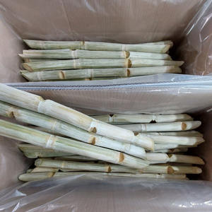 BÂTONS DE CANNE À SUCRE CONGELÉE DE HAUTE QUALITÉ POUR JUS ET DESSERTS - Product Image 2