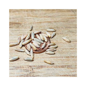 High Quality Organic Fresh Rye <b>Grains</b> From France at Best Price - Product Image 3