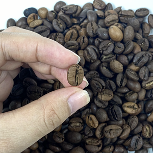 Café NT du Vietnam, grains de robusta torréfiés à 100%, de haute qualité, prix compétitif, emballage de 1 kg - Product Image 5