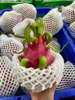 Verse Draak Fruit Rode En Witte Draak Van Boerderij Oorsprong Vietnam Beste Prijs Voor Export Top Leverancier Verse Groenten En Fruit