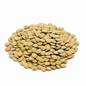 ขายร้อนของถั่วเขียวที่มีจำหน่ายในราคาที่เหมาะสม - Product Image 3