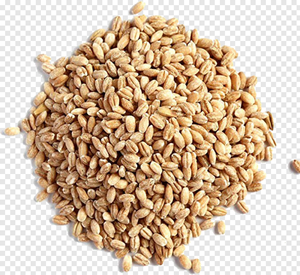Grano de cebada seca de primera calidad y grano de Malta para elaboración de cerveza Cebada pelada lista para embalaje de 25kg/50kg - Product Image 6