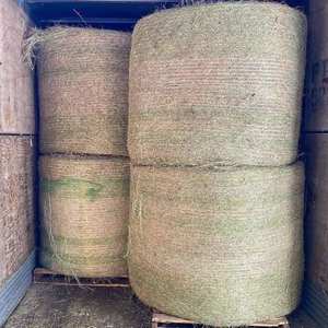 หญ้าอัลฟัลฟา - Product Image 1