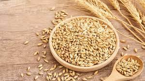 Grano de Trigo Integral de Primera Calidad, Natural, Fresco, Rico en Nutrientes, Certificado por FSSAI/ISO/HACCP, Grado de Exportación, Sunari Enterprises, 2 Años - Product Image 3