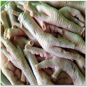 Entrega rápida Patas de pollo congeladas Compre ahora Calidad Premium disponible Venta al por mayor Ideal para restaurantes y pedidos de fábrica - Product Image 1