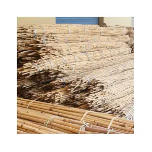 Duurzame Rotan Paal Vietnam Rotan Manau Cane 10/12Mm, 14/16Mm, 18/20Mm Outdoor Meubilair Rieten Rotan Paal Verkoper