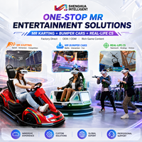 Équipement de terrain de jeu intérieur pour jeux AR et VR, y compris des kartings et des voitures tamponneuses, couleurs personnalisables, 2 à 10 passagers