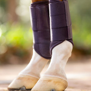 Bottes de brossage pour chevaux avec mousse absorbant les chocs et protection renforcée des tendons et des articulations, fabriquées sur mesure au Pakistan pour l'équitation - Product Image 2