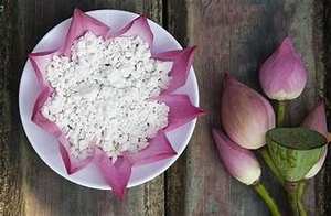 ผงราก Kudzu จากพืชใช้สำหรับการทำงานของภูมิคุ้มกันและทำความสะอาดร่างกายด้วยสมุนไพร - Product Image 2