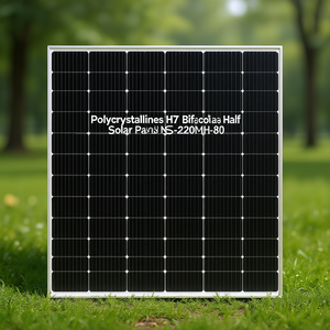 Panel Solar Policristalino HJT Bifacial de Media Celda NS-220MH-80 - Product Image 3