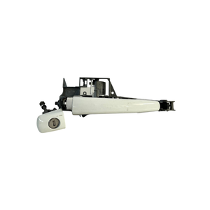 Maniglia Esterna Anteriore Sinistra per PEUGEOT 5008 1a Serie (09>) 111671ZP563 9HD - Product Image 1