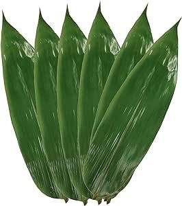 ชาสมุนไพรใบไผ่สีเขียวแห้งธรรมชาติดอกบัวสีน้ำเงินเวียดนาม - Product Image 4