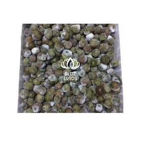 FRUITS CONGELÉS Dracontomelon congelé IQF pour le paquet en vrac d'exportation - Product Image 1