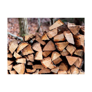 Leña de roble suministrada en grandes volúmenes con precio de fábrica y lista para envío. - Product Image 3