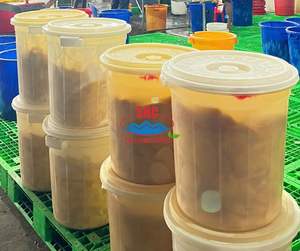 Fabricante vietnamita de mango de secado suave que ofrece aperitivos saludables de etiqueta limpia con embalaje personalizado para exportación a granel y pedidos OEM - Product Image 1