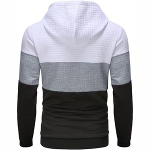 Sudadera con capucha con logotipo personalizado de alta calidad para hombres 100% algodón Heavy Fleece invierno 3D bordado hombres sudaderas con capucha - Product Image 2