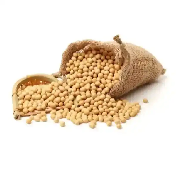 NON-GMO Sojabonen Te Koop Gele Sojabonen-Sojabonen Voor De Beste Markttarieven
