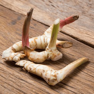 Racines d'alpinia galanga de gingembre thaï frais de meilleure qualité au prix le moins cher racine de galanga du Vietnam - Product Image 4