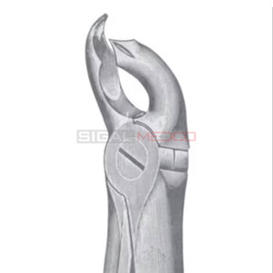 Fig. 26 Fórceps de extracción de dientes de diferentes tamaños Instrumentos médicos dentales Precio al por mayor Acero inoxidable - Product Image 1