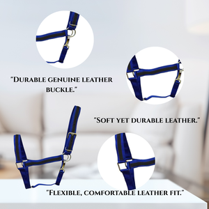 สายจูงม้าคุณภาพสูง |   อุปกรณ์ขี่ม้าที่จำเป็น |   ไนลอนและพีพีพร้อมหนัง |   มีหลายสีให้เลือก - Product Image 4