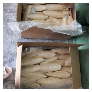 High Quality Cuttlefish Bone for <b>Bird</b> Use, Easy to Attach in <b>Cage</b>, Long Lasting, Available in Bulk Quantities - Product Image 6